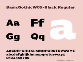 BasicGothicW05-Black