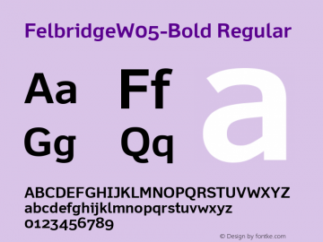 FelbridgeW05-Bold