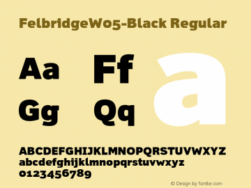 FelbridgeW05-Black