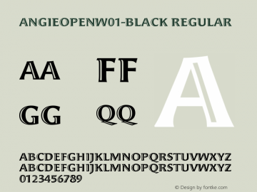 AngieOpenW01-Black