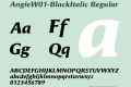 AngieW01-BlackItalic