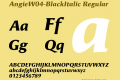 AngieW04-BlackItalic