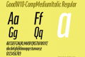 GoodW10-CompMediumItalic