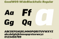 GoodW05-WideBlackItalic