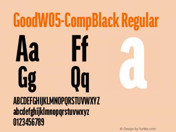 GoodW05-CompBlack