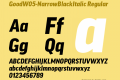 GoodW05-NarrowBlackItalic