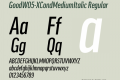 GoodW05-XCondMediumItalic