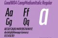 GoodW04-CompMediumItalic