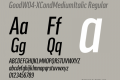 GoodW04-XCondMediumItalic