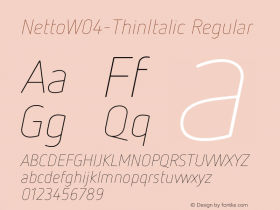 NettoW04-ThinItalic