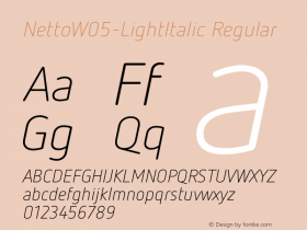 NettoW05-LightItalic