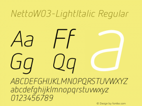 NettoW03-LightItalic