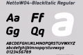 NettoW04-BlackItalic