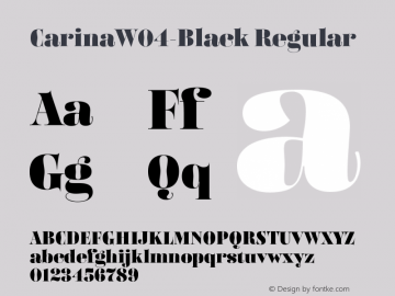 CarinaW04-Black