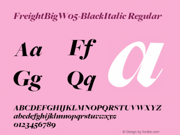 FreightBigW05-BlackItalic