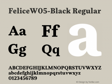 FeliceW05-Black