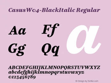 CasusW04-BlackItalic