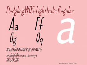 FledglingW05-LightItalic