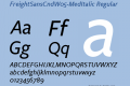 FreightSansCndW05-MedItalic