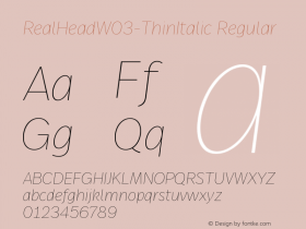 RealHeadW03-ThinItalic