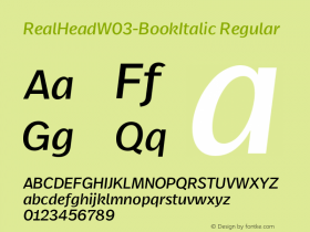 RealHeadW03-BookItalic