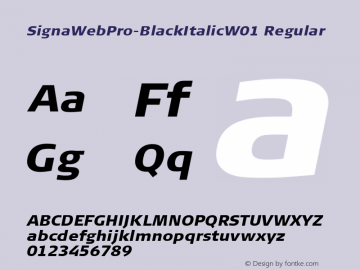 SignaWebPro-BlackItalicW01