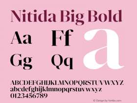 Nitida Big