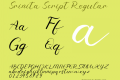 Srinita Script