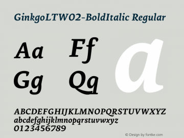 GinkgoLTW02-BoldItalic