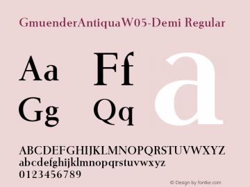 GmuenderAntiquaW05-Demi