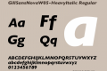 GillSansNovaW05-HeavyItalic