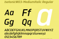 IsotonicW03-MediumItalic