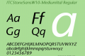 ITCStoneSansW10-MediumItal