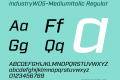 IndustryW05-MediumItalic