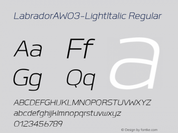 LabradorAW03-LightItalic