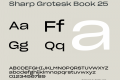 Sharp Grotesk Book