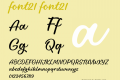 font21