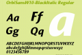 OrbiSansW10-BlackItalic