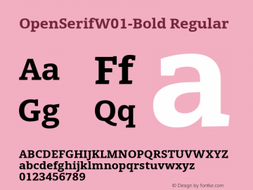 OpenSerifW01-Bold