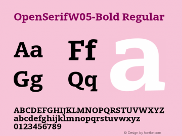 OpenSerifW05-Bold