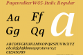 PagewalkerW05-Italic