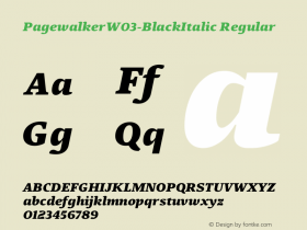 PagewalkerW03-BlackItalic