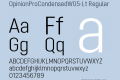 OpinionProCondensedW05-Lt