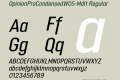 OpinionProCondensedW05-MdIt