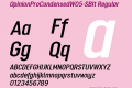 OpinionProCondensedW05-SBIt