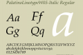 PalatinoLinotypeW05-Italic