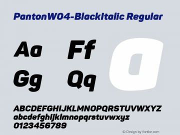 PantonW04-BlackItalic