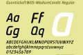 QuantisSoftW05-MediumCondIt