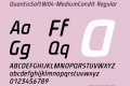 QuantisSoftW04-MediumCondIt