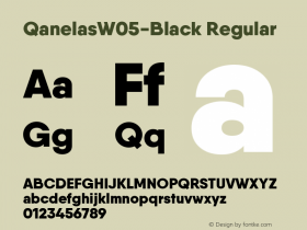 QanelasW05-Black